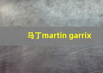 马丁martin garrix